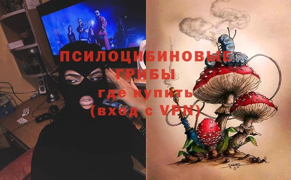 a pvp Абаза