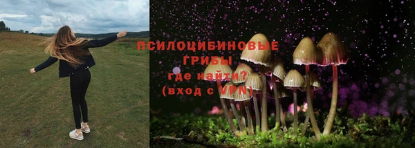 крисы Абдулино